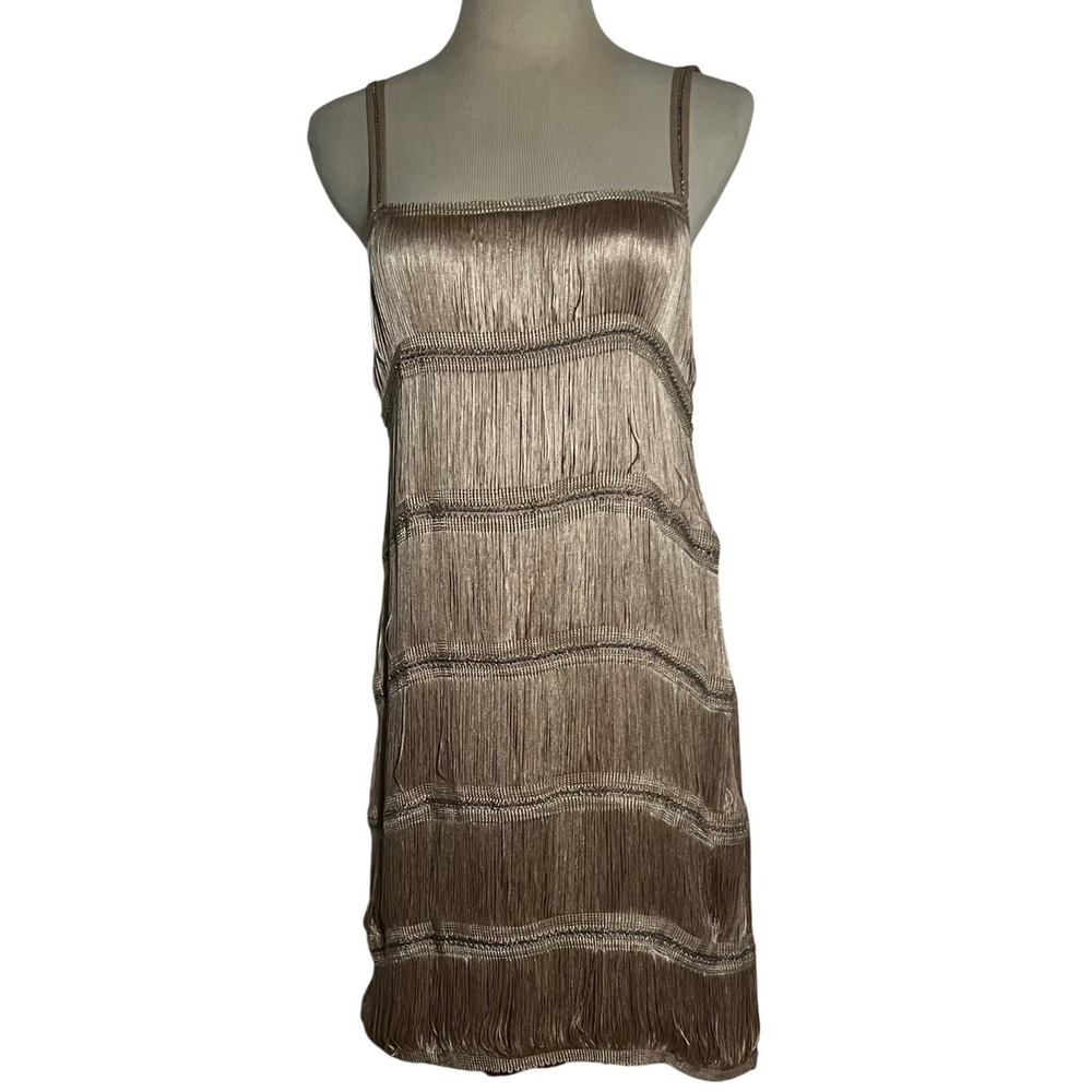 Zara Fringe Mini Dress Women Small Champagne Gold Flapper Chain Detail NWT